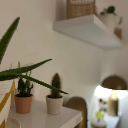 Boheme Centre Ville- Terrasse- Parking Free *