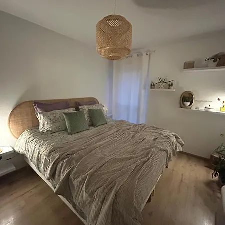 Le Joli Adèle Proche Gare Avec Terrasse Et Parking Appartement Strasbourg